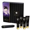 Shunga Naughty Geisha Kit -Sex Toy Store E28769 hr