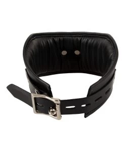 Bad Kitty Padded Leatherette Collar -Sex Toy Store bad kitty padded leatherette collar 24934621001 6