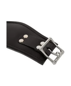 Bad Kitty Padded Leatherette Collar -Sex Toy Store bad kitty padded leatherette collar 24934621001 9