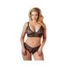 Cottelli Lingerie Black Lace Two-piece Lingerie Set -Sex Toy Store black lace two piece lingerie set 221240410 fm