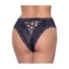 Cottelli Lingerie Black Sheer Mesh Panties With Lacing -Sex Toy Store black sheer mesh panties with lacing bm