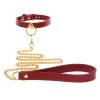 Taboom Burgundy Faux Leather Collar With Leash -Sex Toy Store burgundy faux leather collar with leash 1