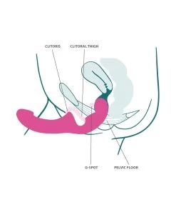 Fun Factory Share Lite -Sex Toy Store fun factory share lite use anatomy