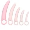 CalExotics Inspire Silicone Dilator 5-Piece Set
