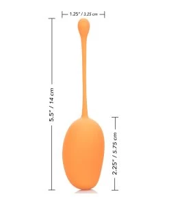 CalExotics Kegel Training Set Mango -Sex Toy Store kegel training set mango 4