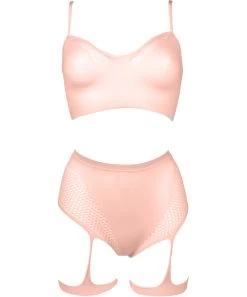 Le Désir Bliss Pink Net Lingerie Set -Sex Toy Store le desir bliss pink net lingerie set f