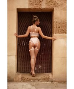 Le Désir Bliss Pink Net Lingerie Set -Sex Toy Store le desir bliss pink net lingerie set m3