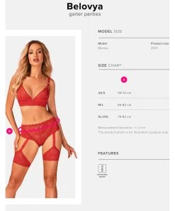 Obsessive Belovya Red Garter Briefs -Sex Toy Store obsessive belovya red garter briefs 5