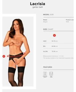 Obsessive Lacrisia Crotchless Suspender Thong -Sex Toy Store obsessive lacrisia crotchless suspender thong 5