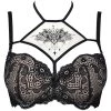 Axami Sexy Seductive Woman Black Lace Bra 2 Axami Sexy Seductive Woman Black Lace Bra -Sex Toy Store v 9001 f