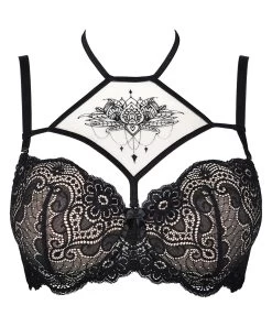 Axami Sexy Seductive Woman Black Lace Bra