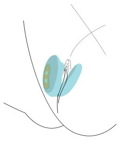 Xocoon Couples Foreplay Enhancer -Sex Toy Store xocoon couples foreplay enhancer 5